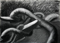 Boats and Serpent - Charcoal on Arches Cover
